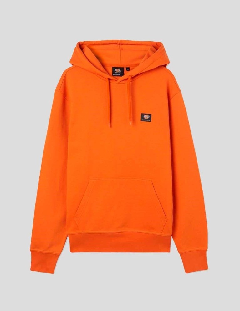 Sudadeira DICKIES mount vista hoodie burnt orange